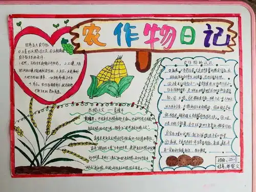 快来看这些劳动小达人的美好生活