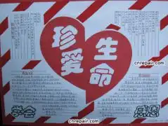 爱祖国爱生命爱父母爱老师爱校园手抄报