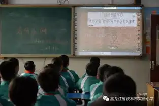 虎林市实验小学开展护苗网络安全课活动