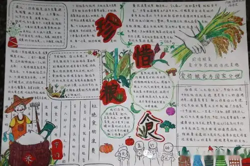 节约粮食抵制浪费手抄报活动投票开始啦
