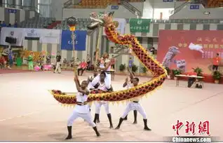 中国大学生舞龙舞狮锦标赛启幕700名选手龙狮争霸