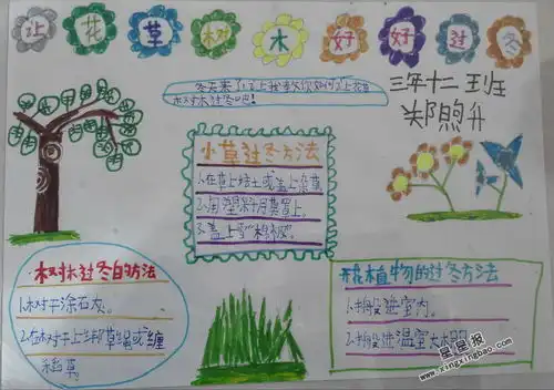 让花草树木好好过冬手抄报图片资料