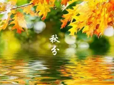 节气今日秋分,凉风阵阵来,大地换新装