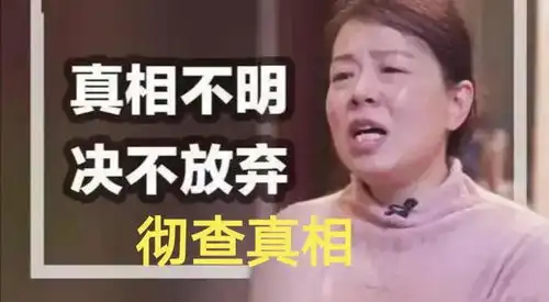 许敏为何要查真相一家三代身份不简单,网友根红苗正,相信她