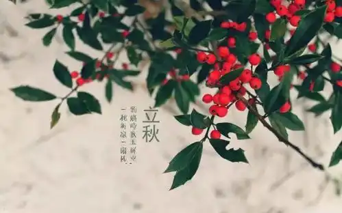 养生明日立秋,养生注意早睡早起严防秋老虎
