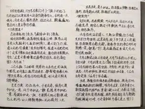 书香校园共享阅读最美读书笔记投票一