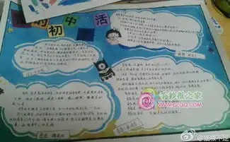 哪个手抄报最好看