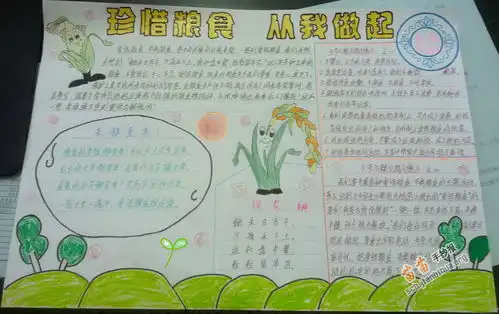 珍惜粮食从我做起手抄报图片内容