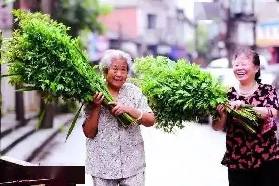 端午安康,粽叶飘香假期还能自由出行吗有攻略有作文和手抄报素材吗请收藏屈原