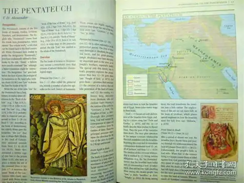 英文原版nivzondervanstudybiblelargeprint内附16幅地图