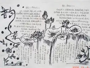 谁知道初中学习小组的手抄报内容