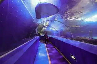 青岛海底隧道攻略,青岛海底隧道门票游玩攻略地址图片门票价格
