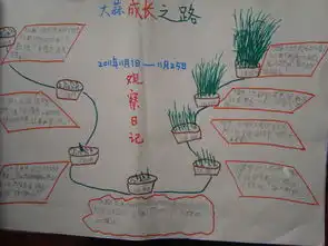 水生大蒜的手抄报只有50字