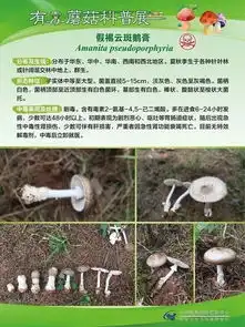 路边的蘑菇你不要采毒蘑菇中毒高发季又来了