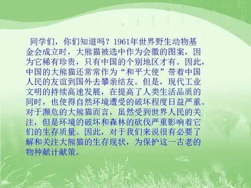国宝大熊猫
