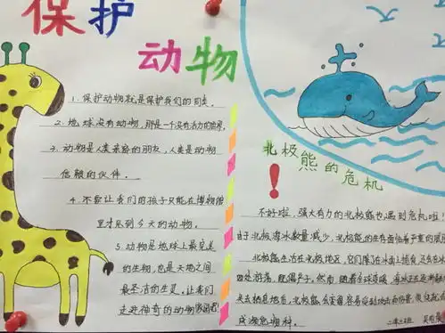 保护动物手抄报图片资料