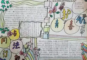 友谊里小学护航青春与法同行手抄报比赛获奖作品集锦