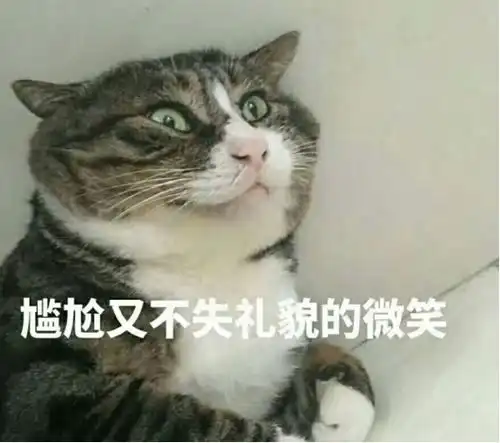 没有什么能轻易击碎一个老旅行家的三观,除了荷兰马桶