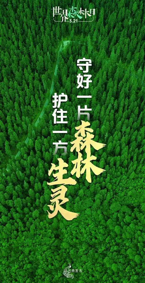 世界森林日丨守好一片森林,护好一方生灵