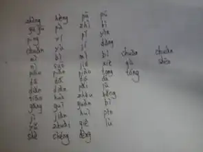 标拼音全部