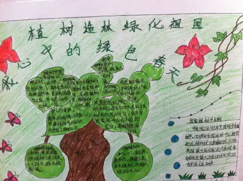 绿色春天手抄报一等奖的图片急用谢谢