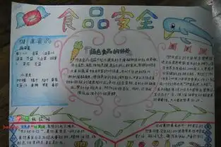 食品安全手抄报一等奖