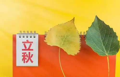 8月7日进入立秋,六月立秋,两头不收七月立秋,早晚都收