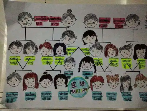 金小实践课程制作英文家谱手抄报传承好家风