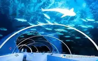 你真的以为今天就只是情人节吗