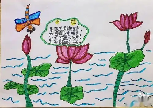 小店区西贾小学人生有诗意,永远是少年寒假阅读篇