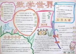 四年级下册数学手抄报内容