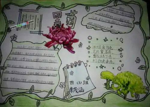 关于植物手抄报
