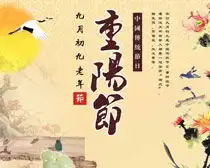 重阳佳节海报设计矢量素材