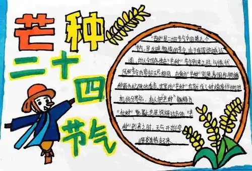 知芒种绘手报丨爆台寺小学学生二十四节气芒种手抄报展示活动