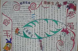 珍爱生命手抄报珍爱生命,关注美好未来