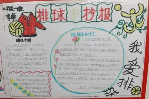 我爱排球手抄报图片大全