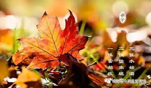 吹到一片秋香,清辉了如雪