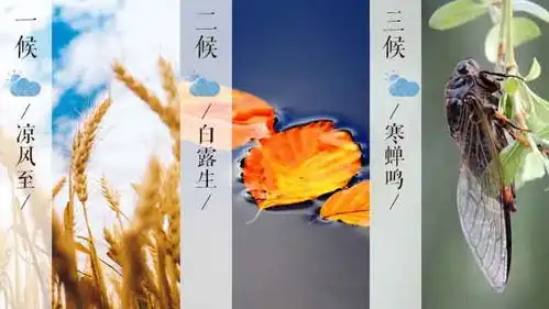 谈天说粤是的,今日已立秋秋风起,吃腊味,老广还有这些特别民俗