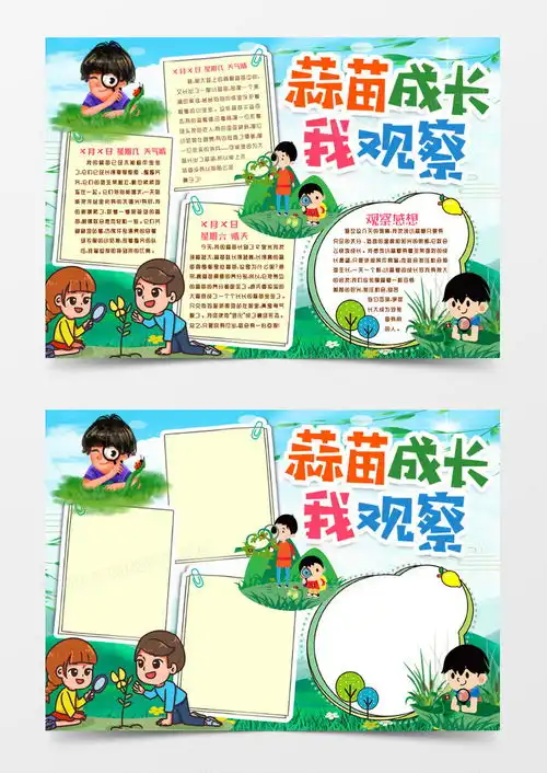 观察蒜苗成长记录小报手抄报模版word模板下载熊猫办公