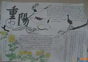 新华路小学开展悠悠爱老心,浓浓敬老情系列主题活动纪实
