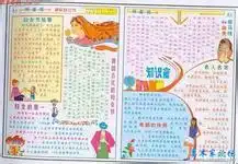 七年级下,生物手抄报