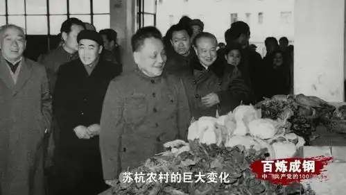 百炼成钢中国共产党的100年丨第五十二集小康目标