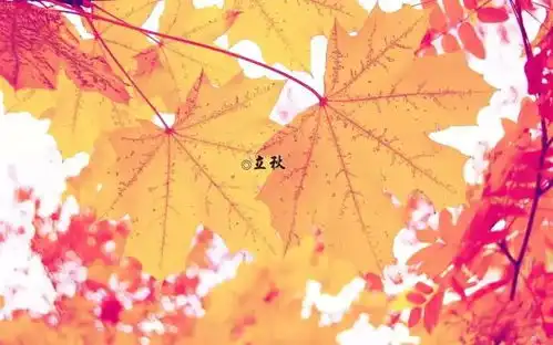 立秋