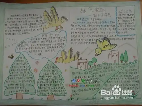 大自然的启示手抄报