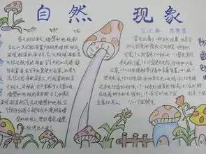 认识大自然的手抄报