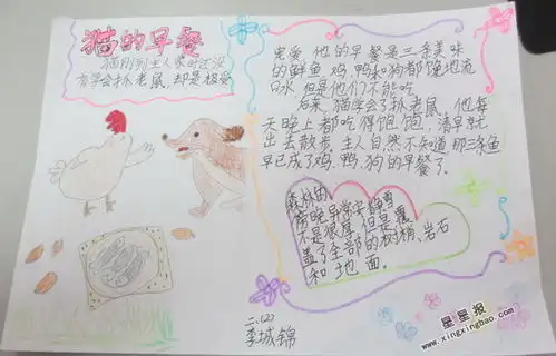 二年级猫的早餐手抄报