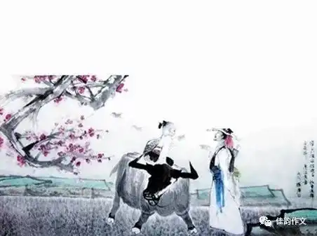 佳作2018年秋季佳韵学子范文展一