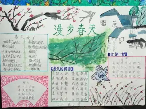 语文手抄报展风采