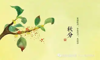 节气茶会秋分节气做茶饼