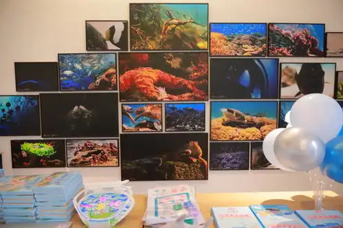 海底两万里中国首展北京站于798艺术中心开展